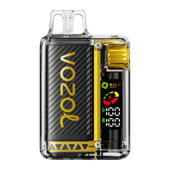 Vozol Vista 16000 Mango Ice